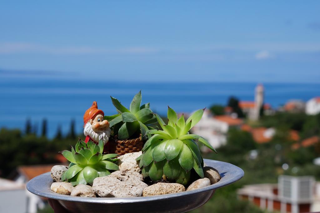 Apartments Mateljak Gradac  Extérieur photo