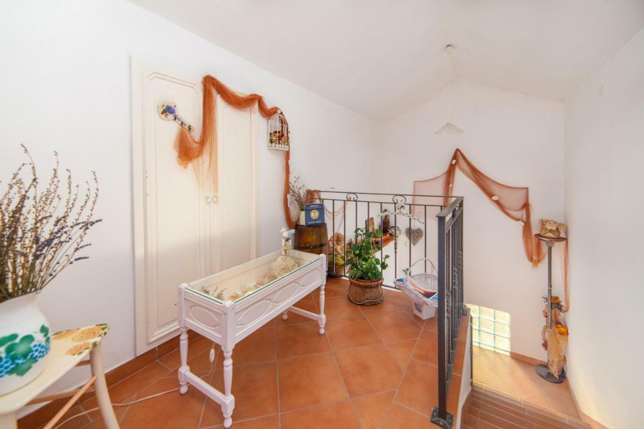 Apartments Mateljak Gradac  Extérieur photo