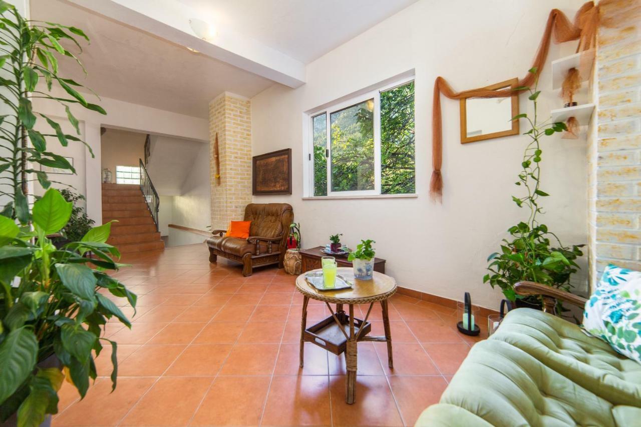 Apartments Mateljak Gradac  Extérieur photo